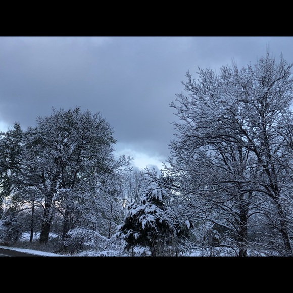 Meet your Posher, Elena - Picture 1 of 1